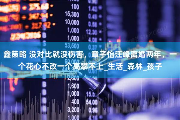 鑫策略 没对比就没伤害，章子怡汪峰离婚两年，一个花心不改一个高攀不上_生活_森林_孩子