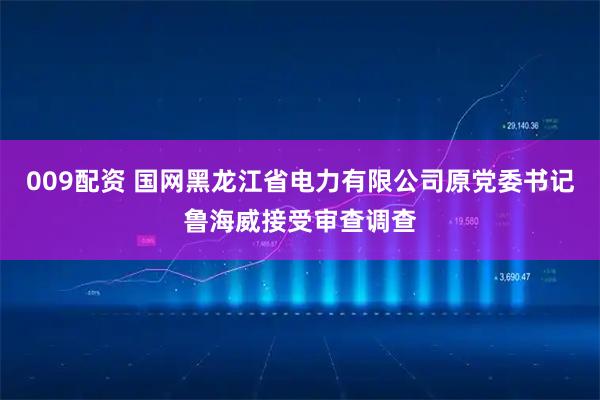 009配资 国网黑龙江省电力有限公司原党委书记鲁海威接受审查调查