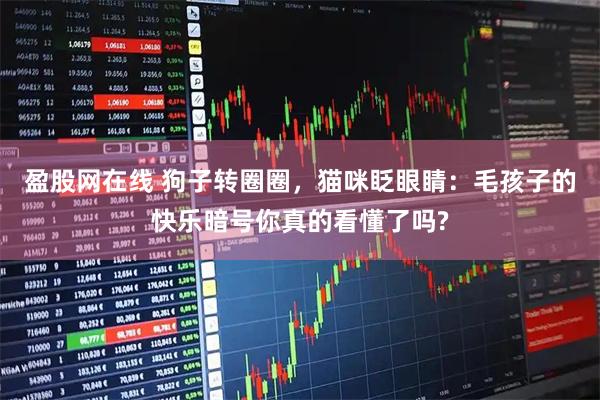 盈股网在线 狗子转圈圈，猫咪眨眼睛：毛孩子的快乐暗号你真的看懂了吗?
